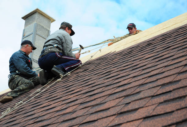 Roof Repair Estimates in Fernley, NV